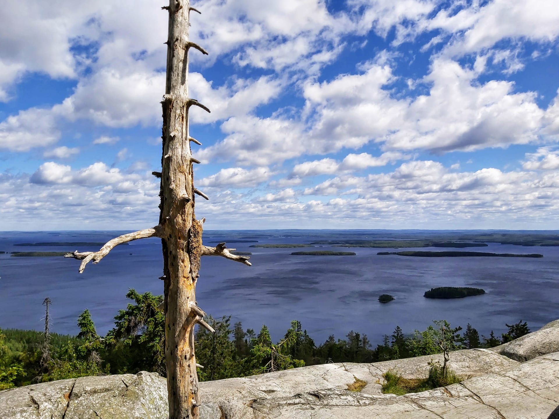 Lake Pielinen from top of Ukko-Koli