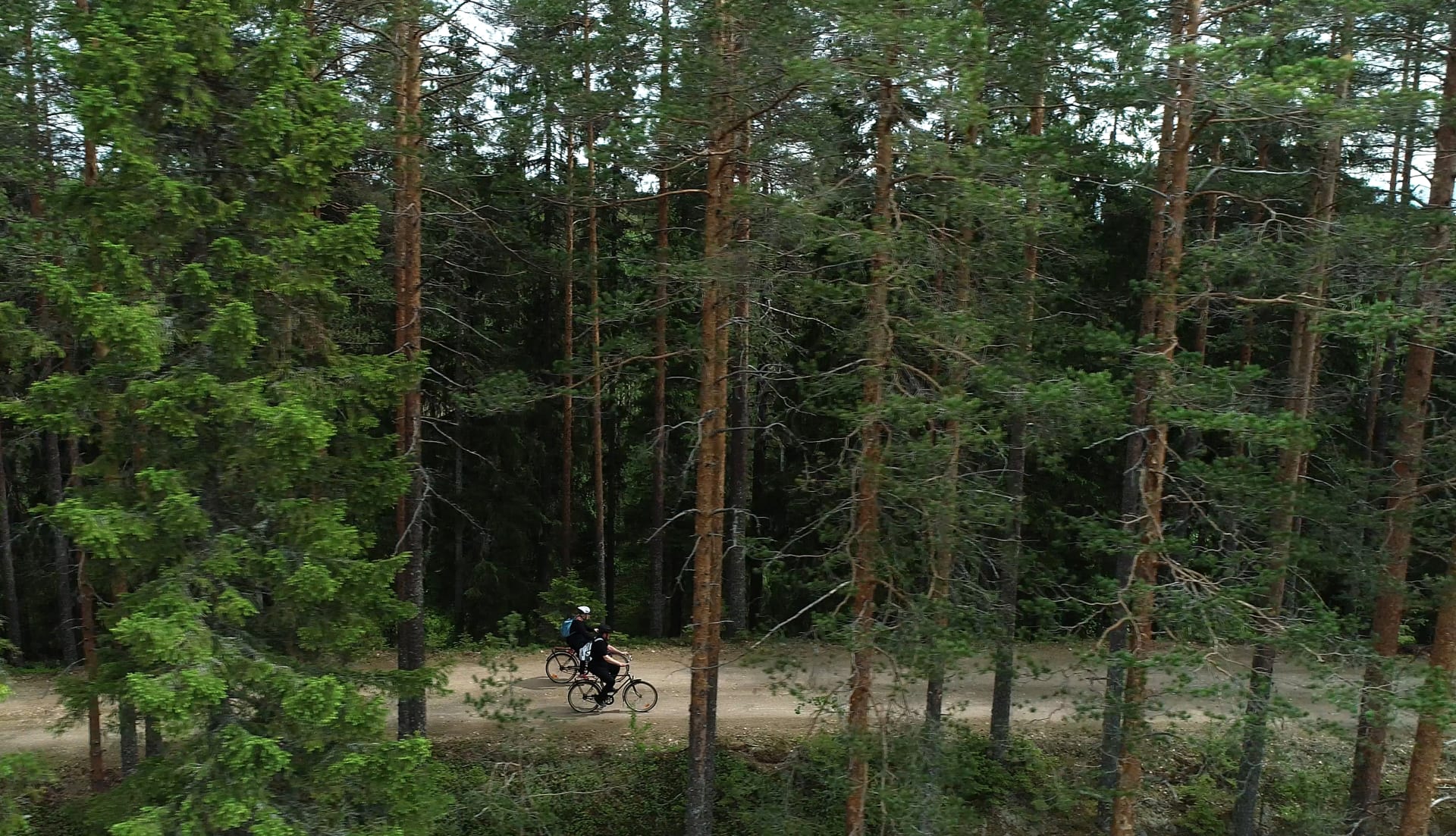 Kaksi pyöräilijää hiekkatiellä rinnakkain kuvattu puunrunkojen takaa ilmasta.