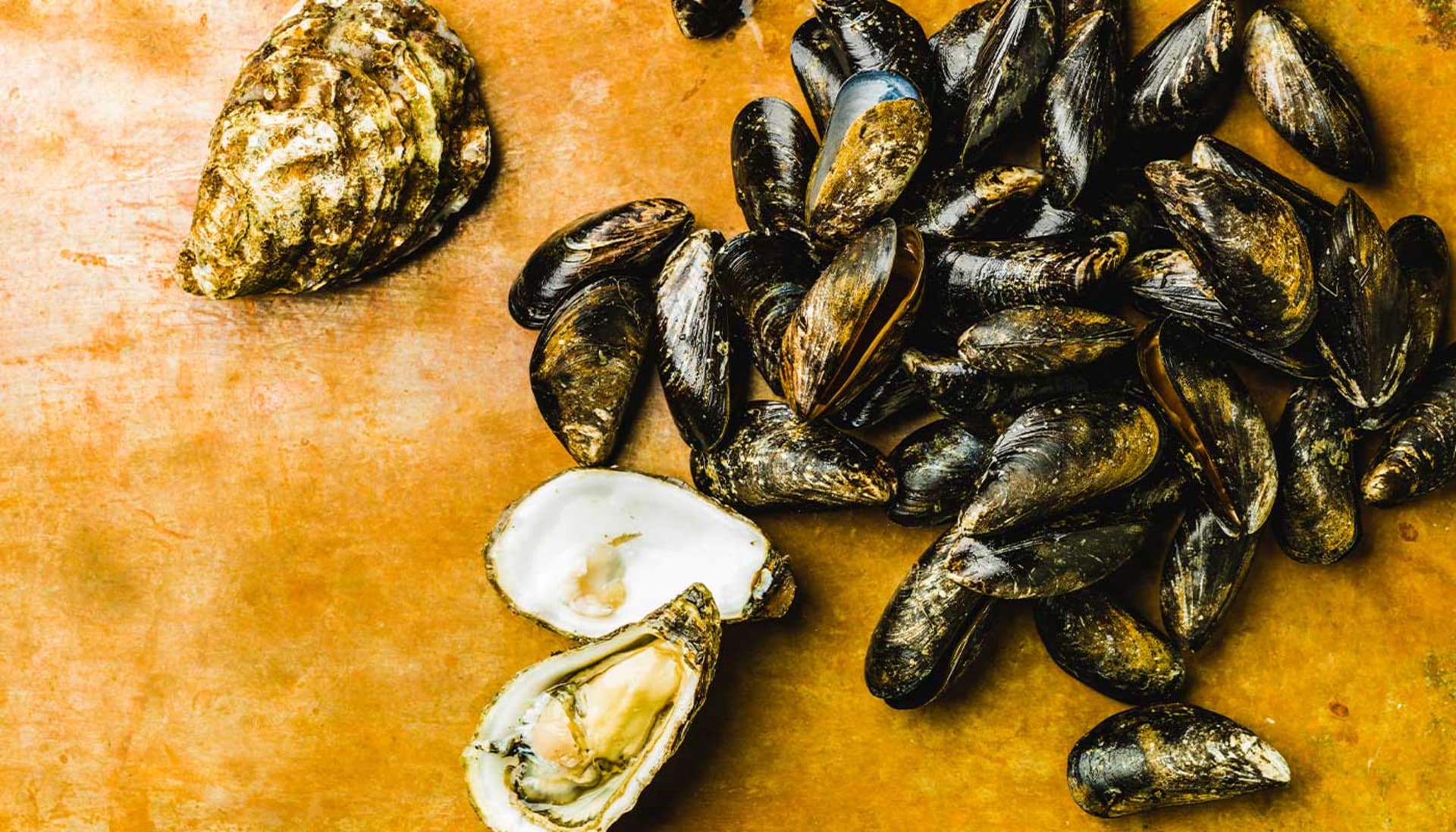 Blue mussels