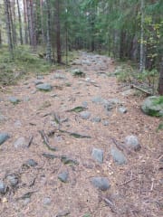 60 metera above the sea level we can find old shoreline