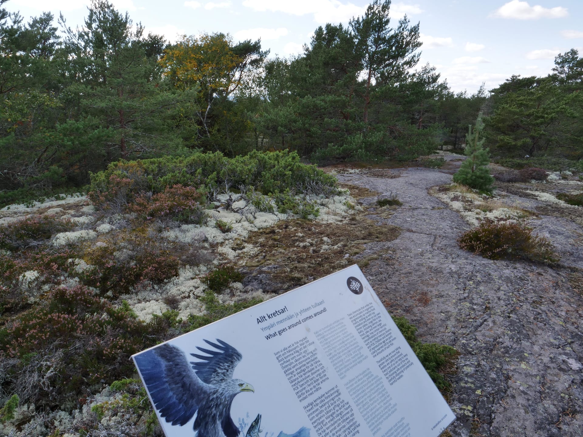 Osa kuivan maan luontopolun taulusta on kuvan etuosassa. Sen takana on loivasti kaartuvaa  kalliota ja harvakseltaan lyhyitä mäntyjä.Part of the dry land nature trail board is in the front of the picture