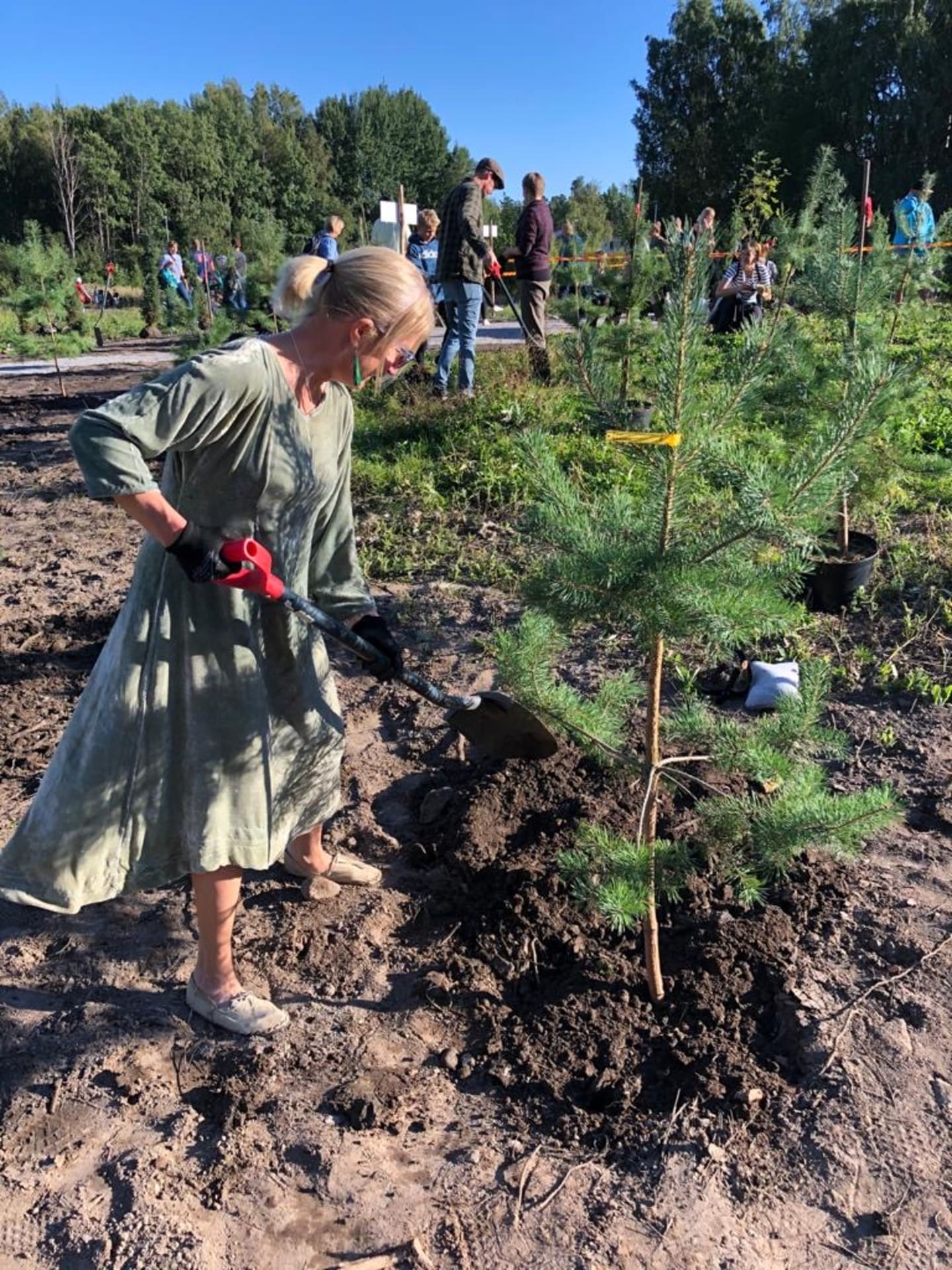 Anu ( she/her) from Mood of Finland planting a tree of love