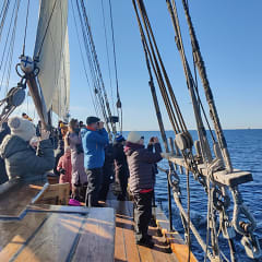 24.5.2026 Lintu- ja hyljesafari