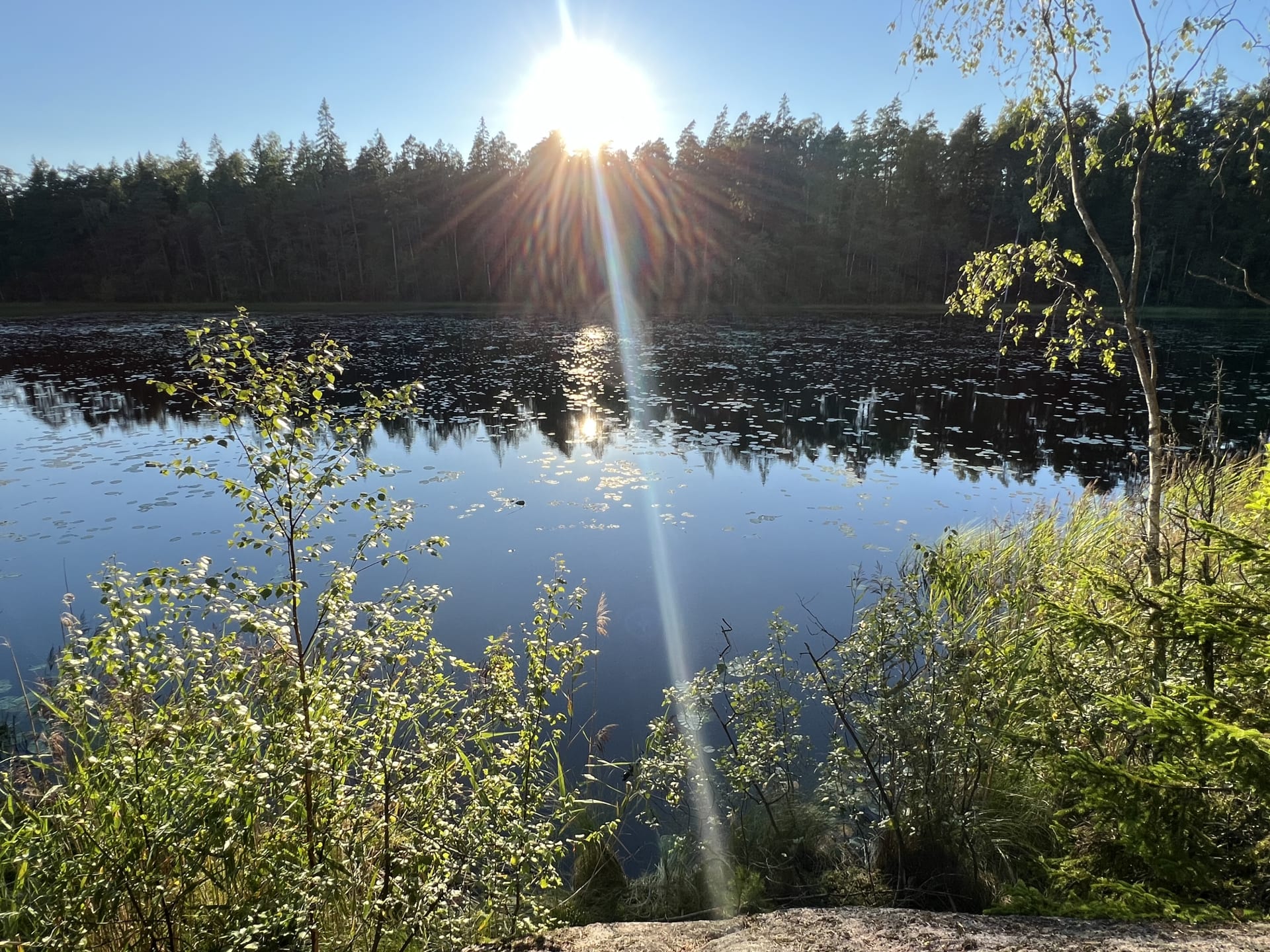 Lampi Nuuksiossa