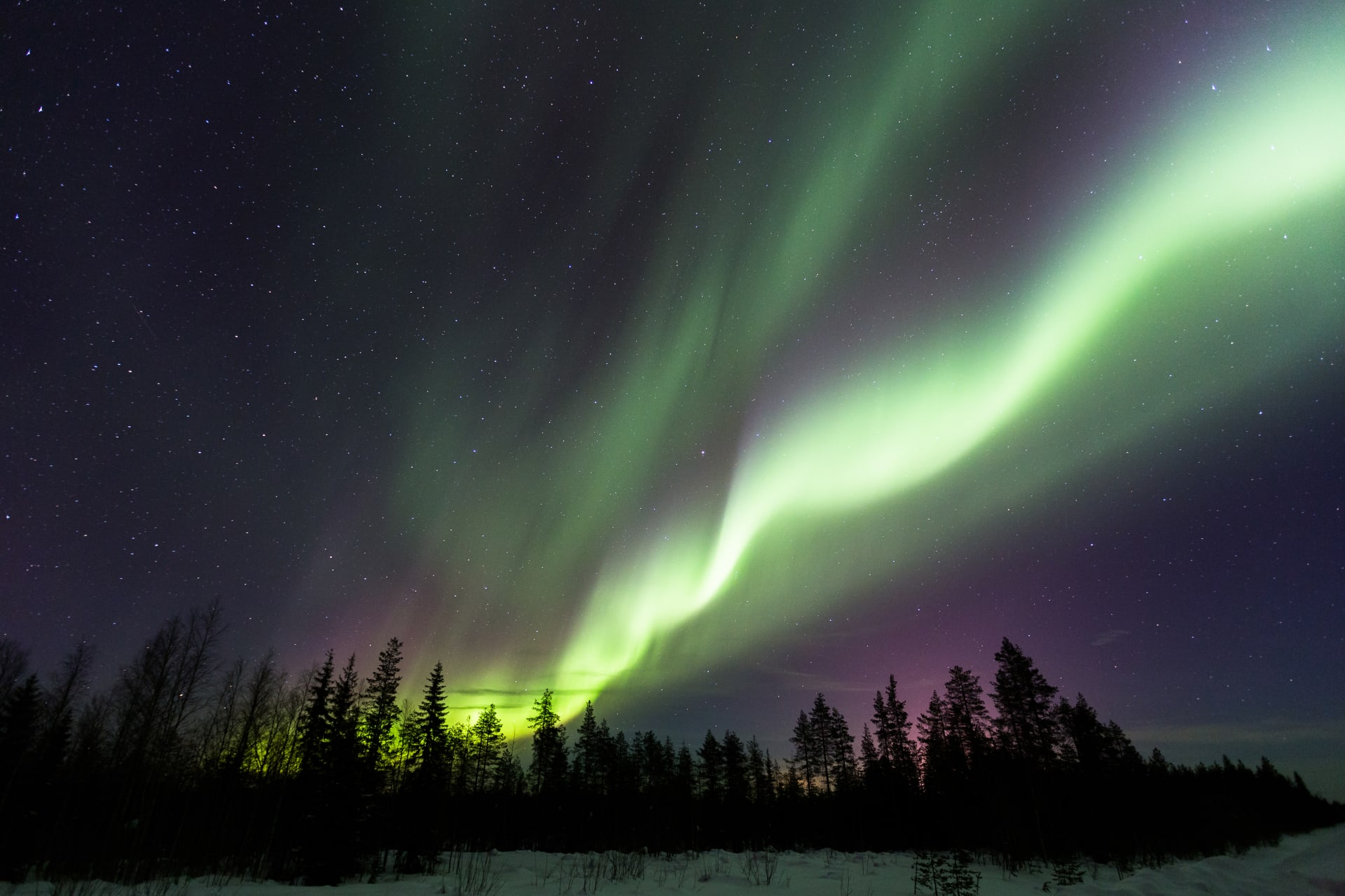 Aurora Borealis dancing in the night sky