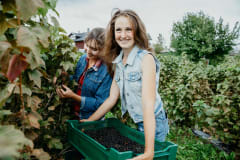 Raijan Aitta, marjatila Mikkelissä.