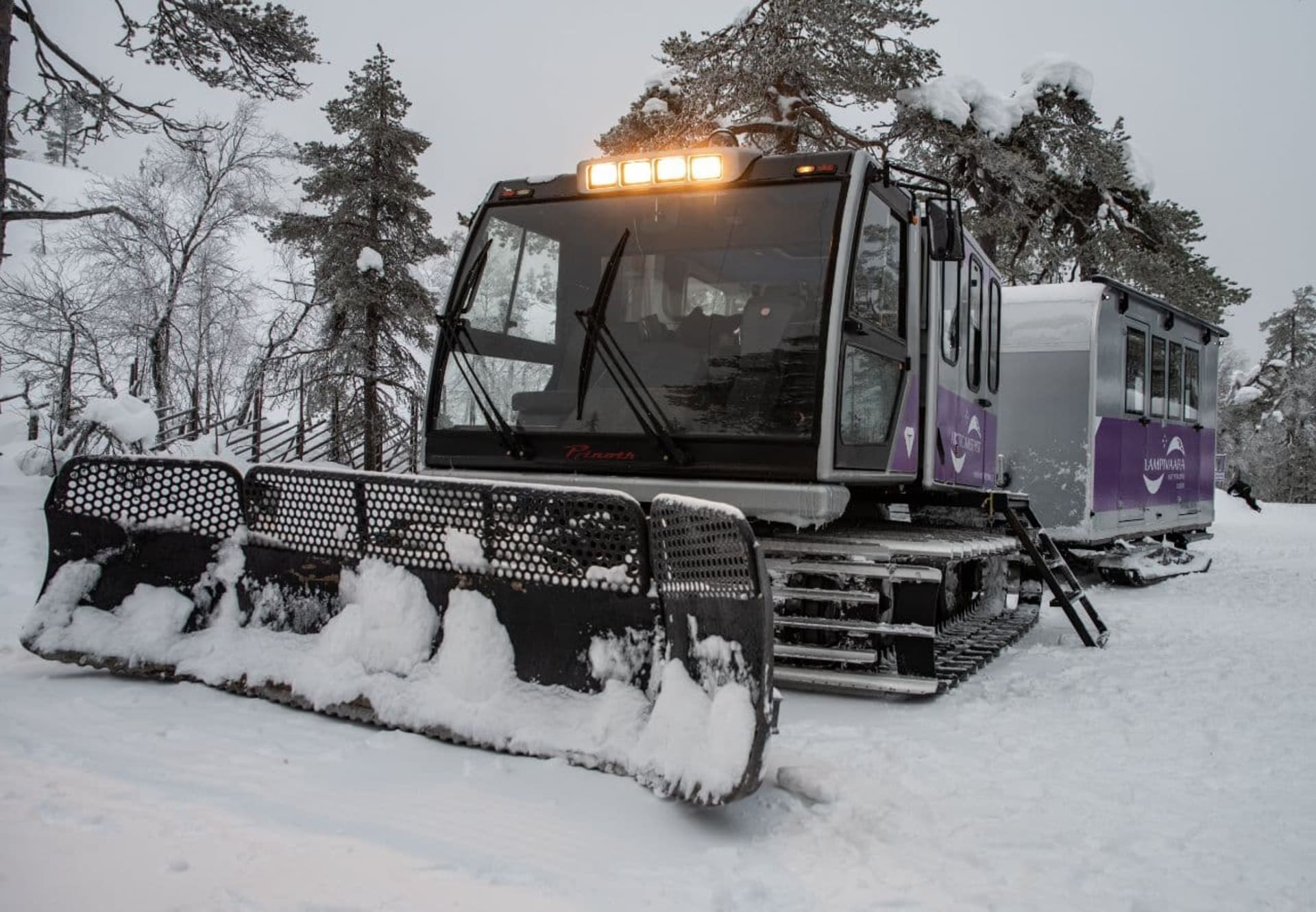 Winter train