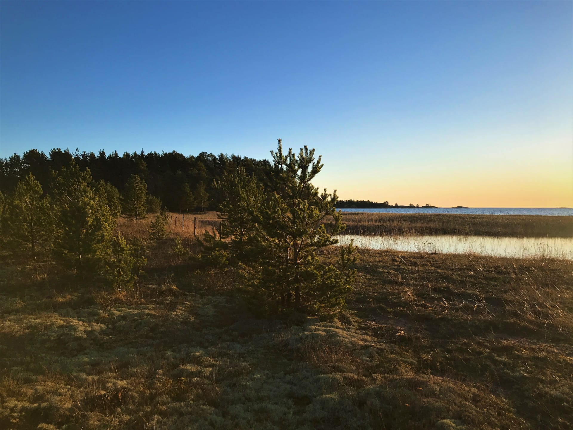 Sunset at Högholmen * Auringonlasku Högholmenilla * Solnedgång på Högholmen