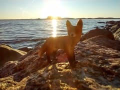 Creative play in nature