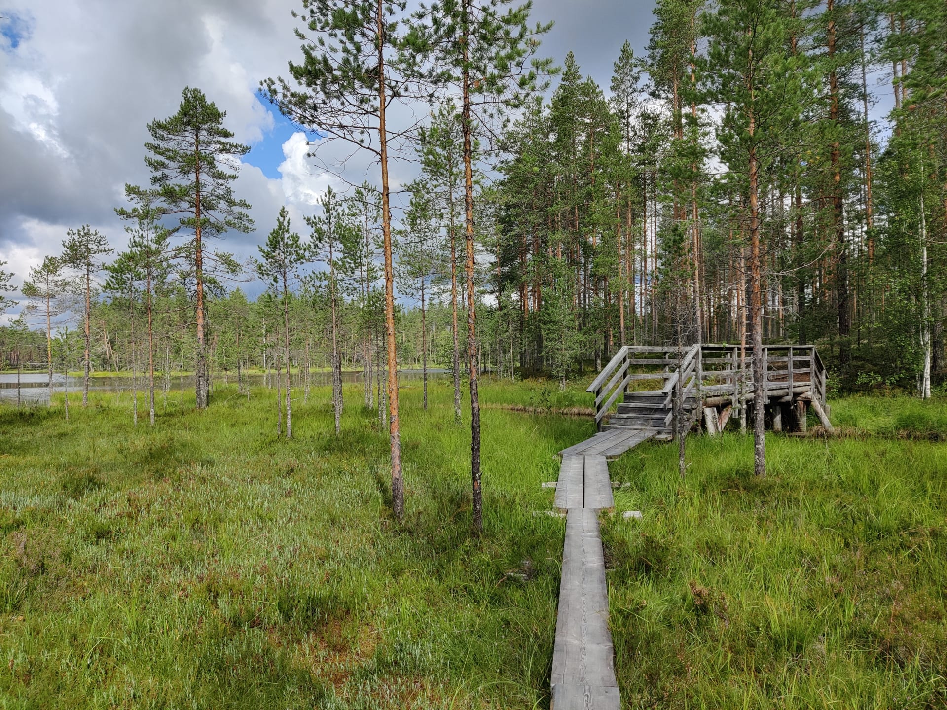 Peurajärven pitkospuut ja silta.