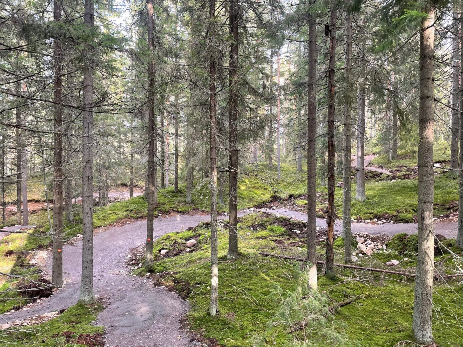 Nature trail Vierumäki Heinola