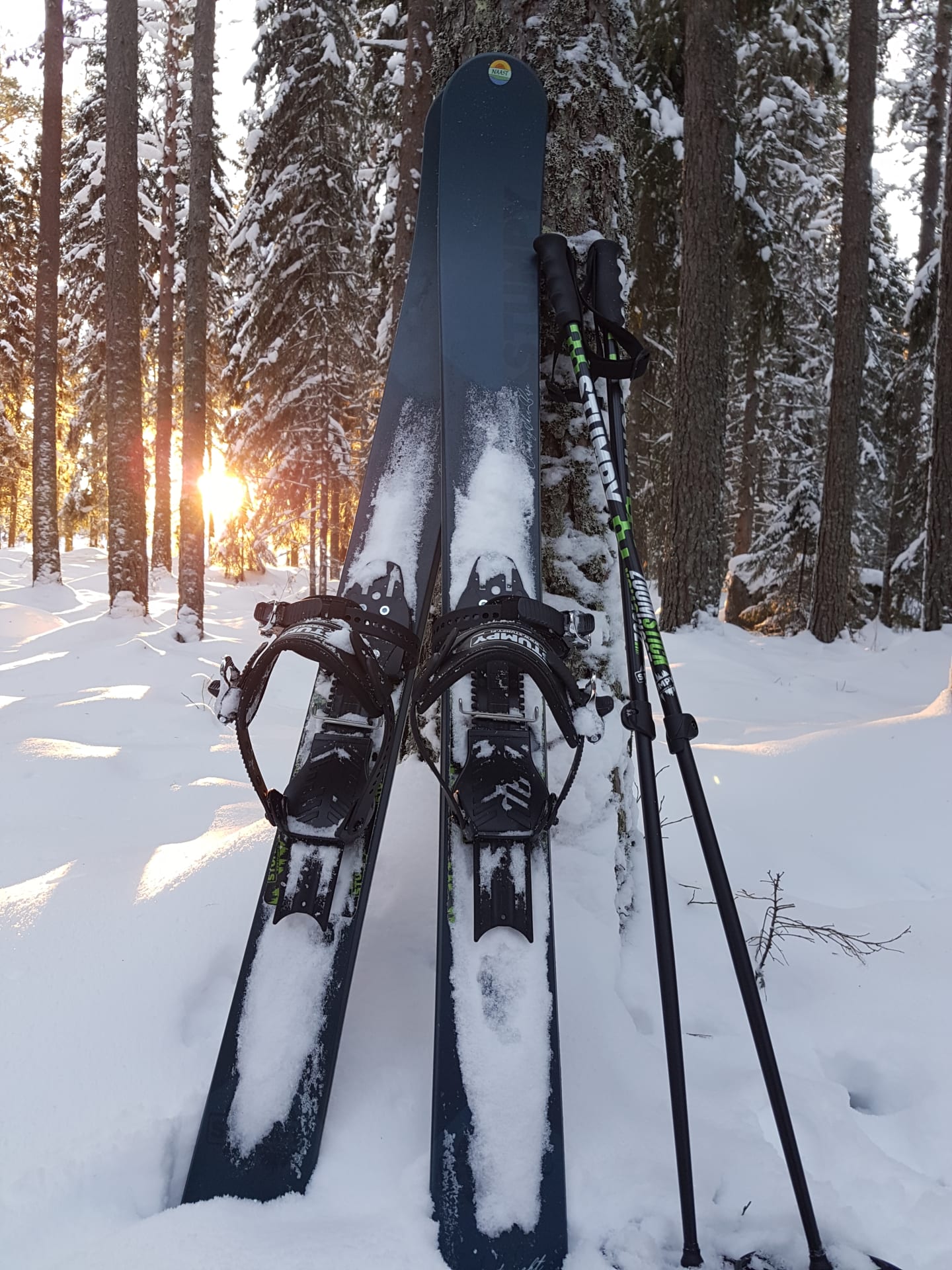 STUMPY skis for ski trekking activities.
