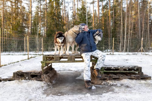 Musher Pascal with his huskies
