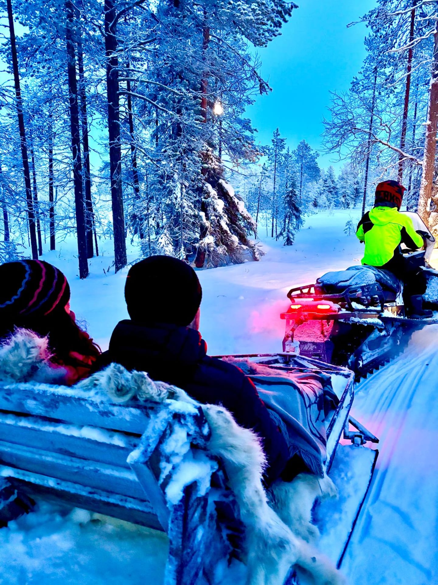 Rovaniemi: Snowmobile Sleigh Ride in Forest Entry Ticket | Visit Finland