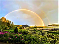 Sisäpihan istutukset ja sateenkaari, Villa Paasirinne A