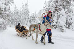 Reindeer Sleigh Ride in a winter landscape