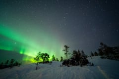 Admiring the Views on Experience Pyhä's Arctic Nights eSled Safari