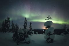 Admiring the Views on Experience Pyhä's Arctic Nights eSled Safari