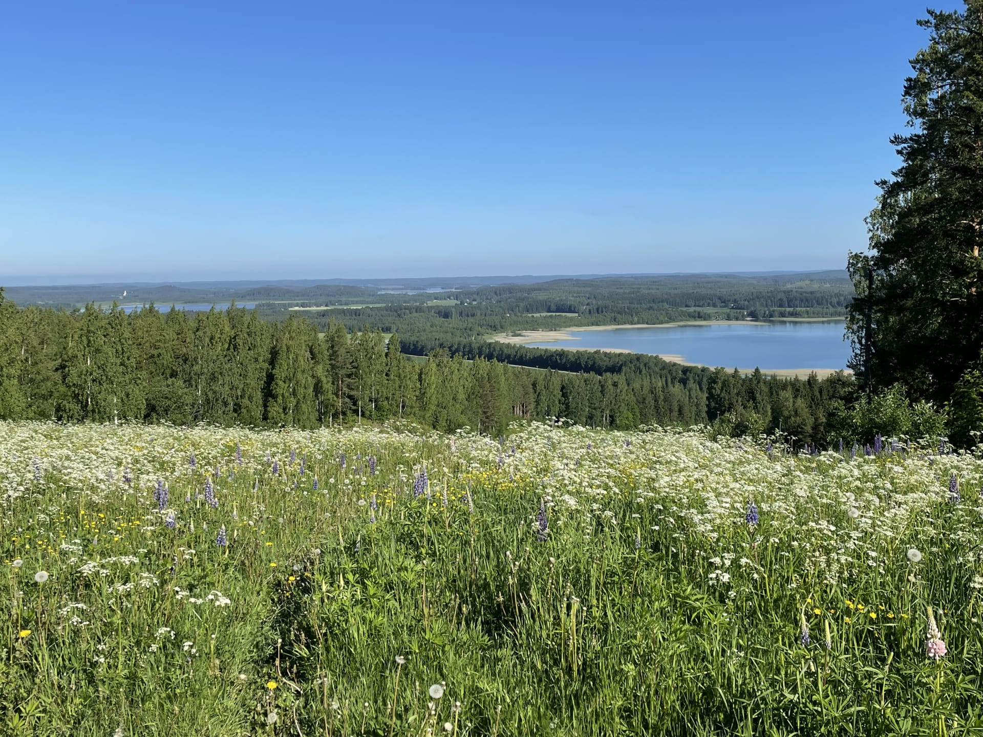 wiew from the hill