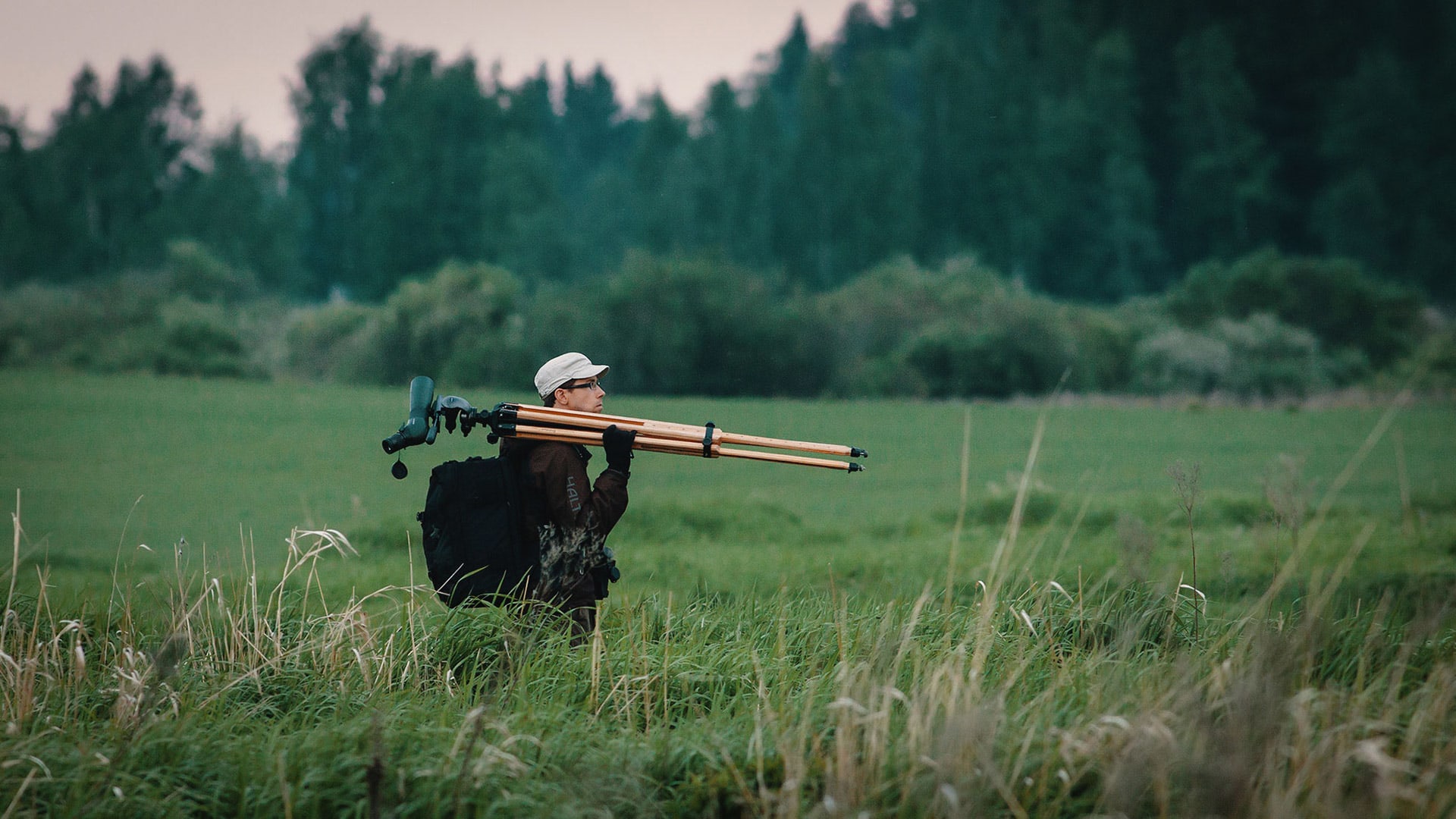 Guided Birdwatching Tour