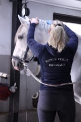 Pienryhmätunnit P.R.E. -hevosilla