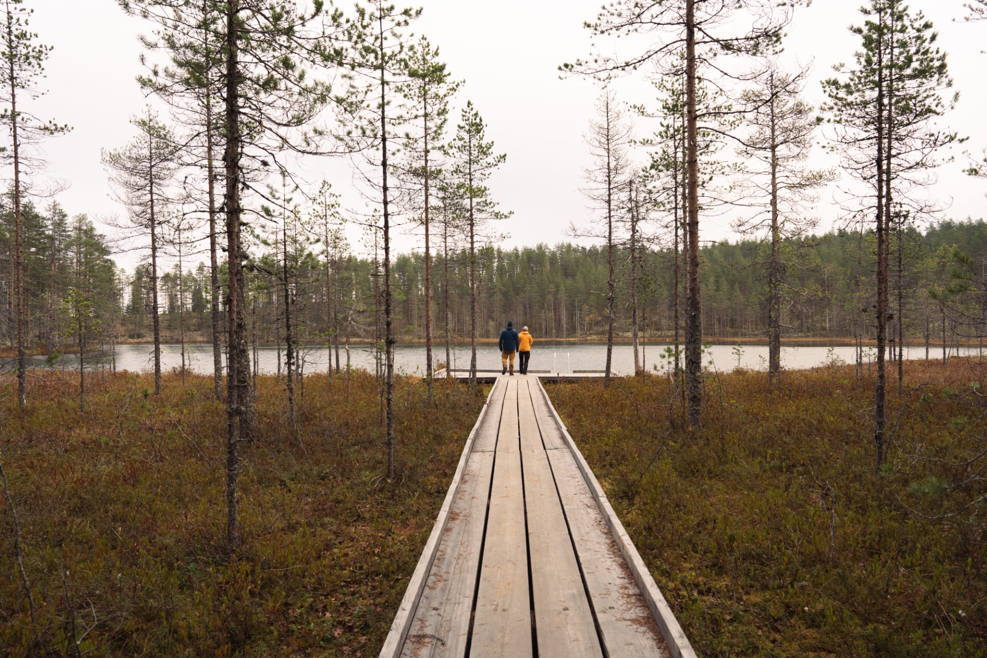Raesärkillä Nurmeksessa on pieniä lampia. 