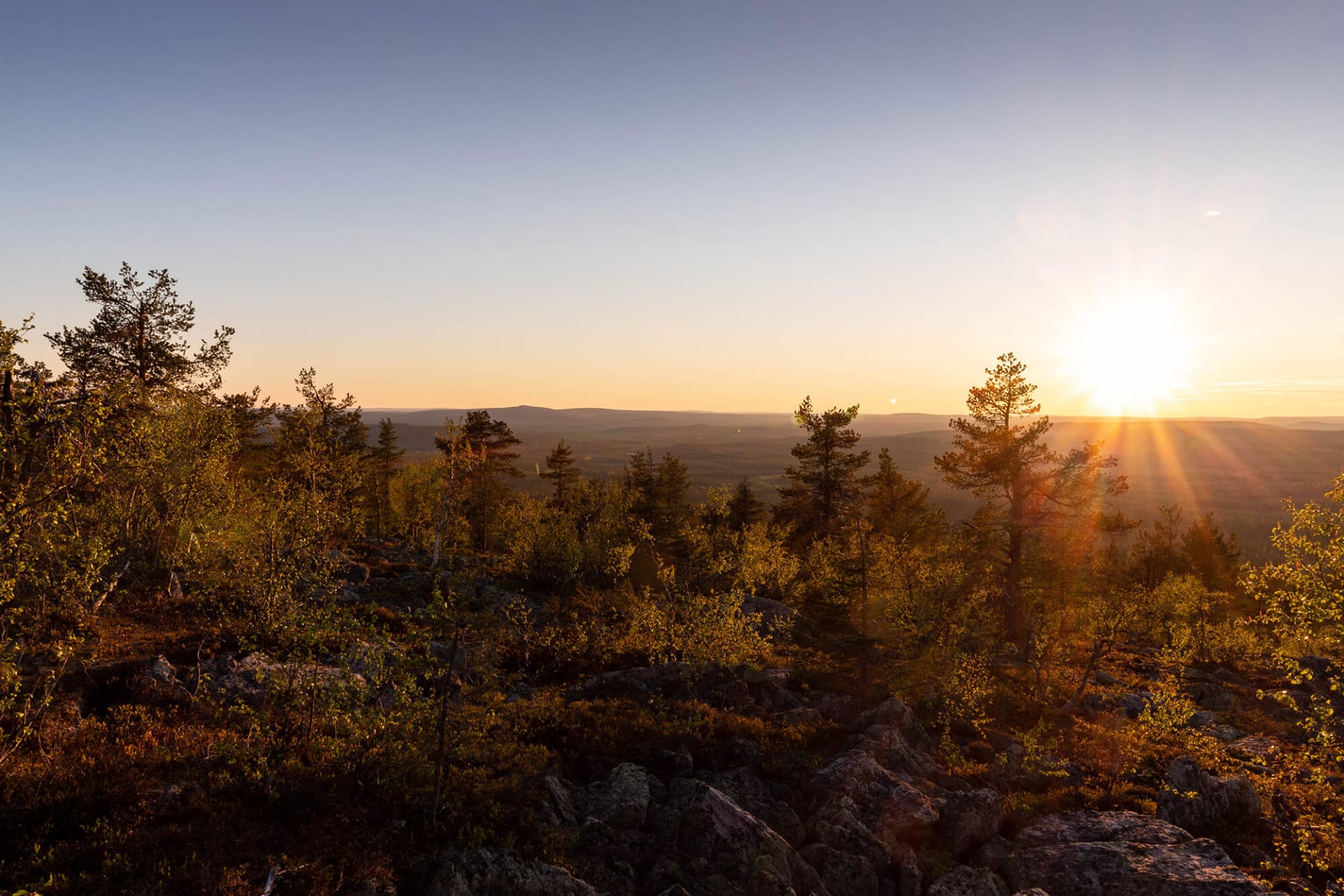 midnight sun 