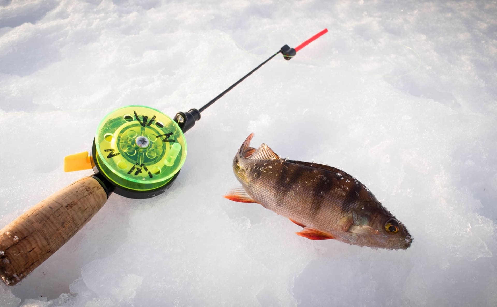 Ice fishing