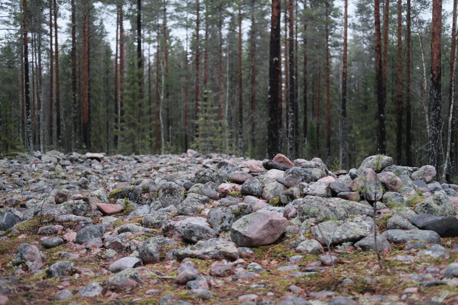 Pilpasuo nature trails rock formation.