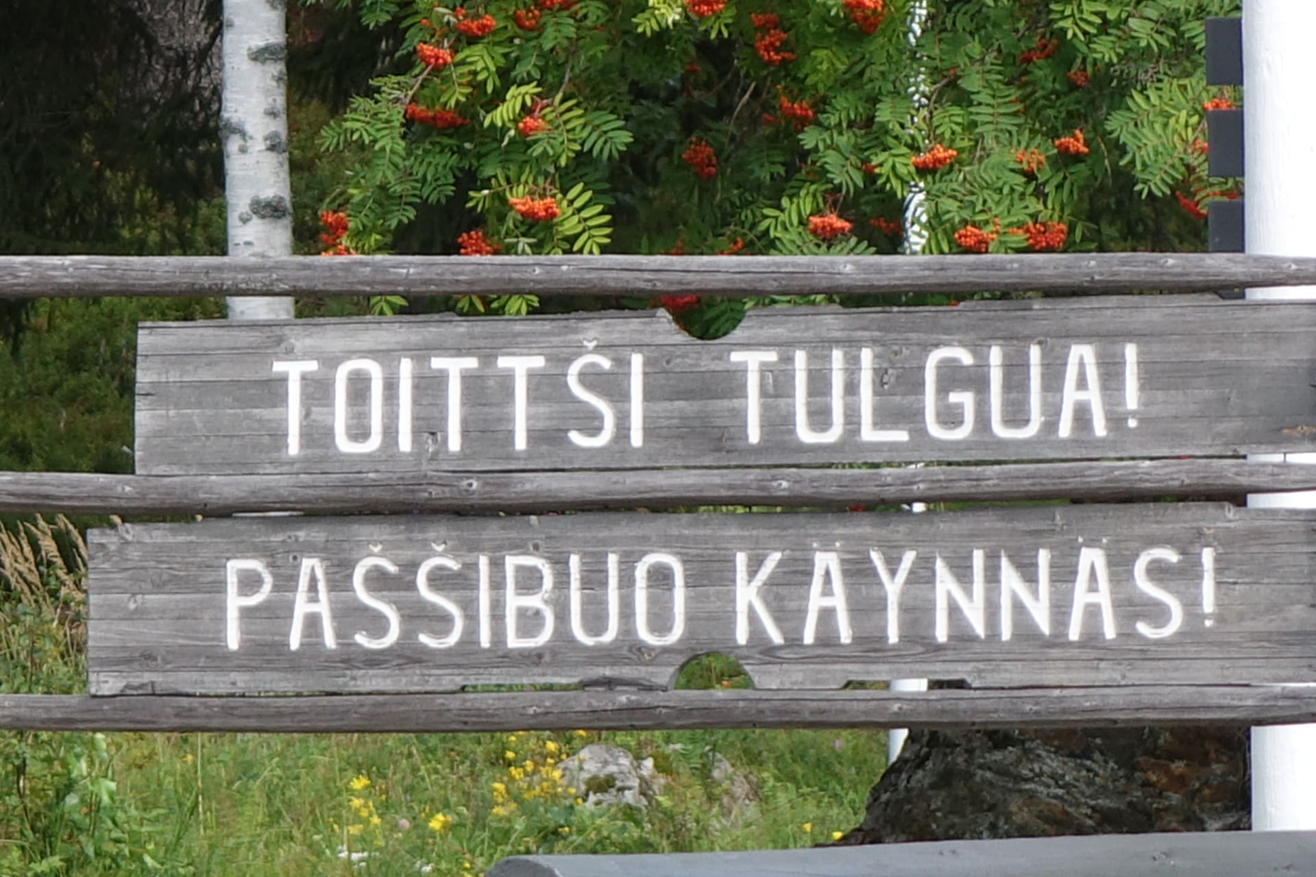 https://aksytammat.fi/en/p/1129/biking-tour-aroud-lake-pielinen