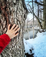 Arktinen metsäkylpy – Rentoudu ja pysähdy aistimaan talven taika ja nuotion loimu