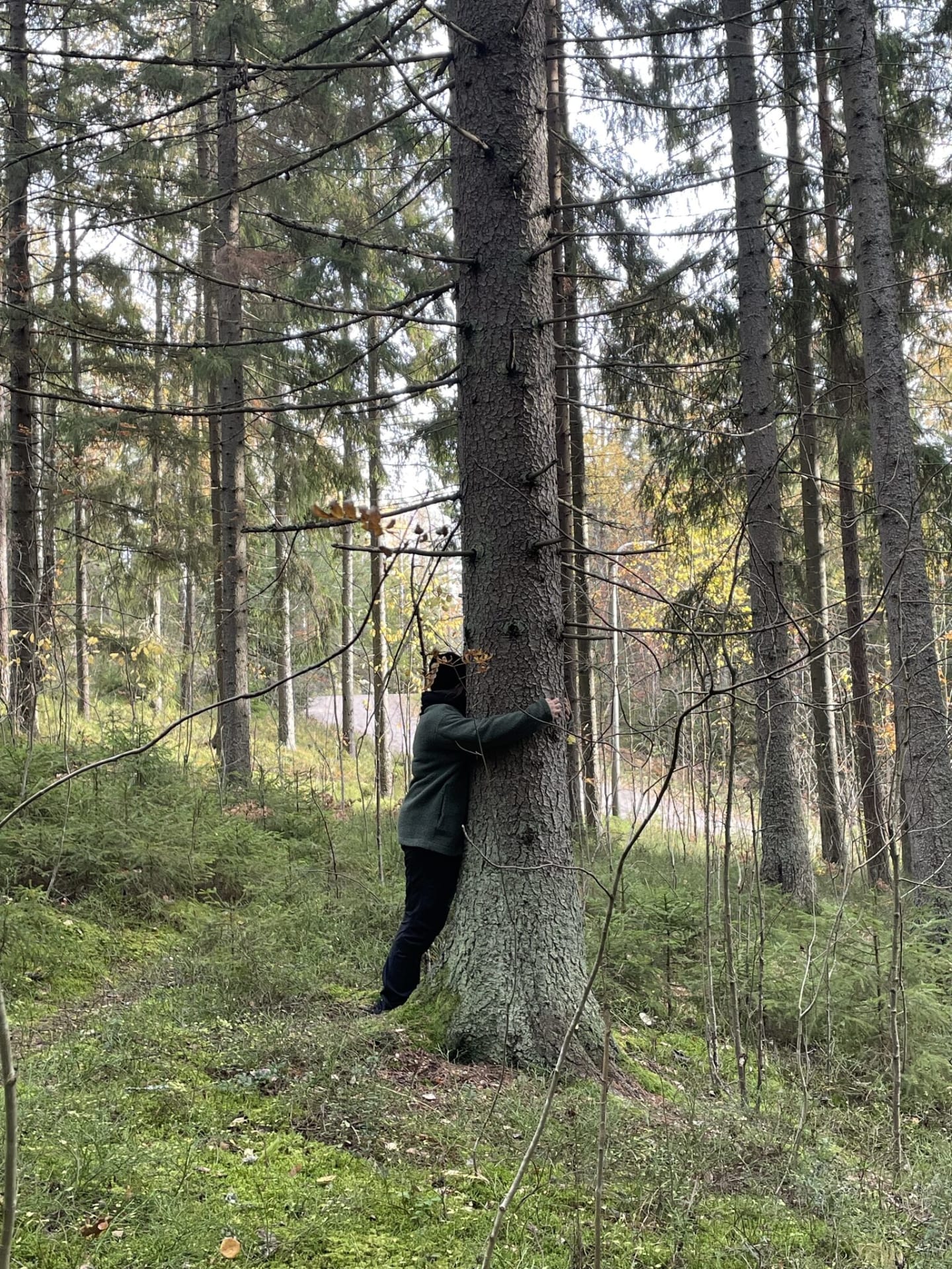 Vallisaaren Metsämieli-retket sopivat hyvin osaksi TYHY-päivää.