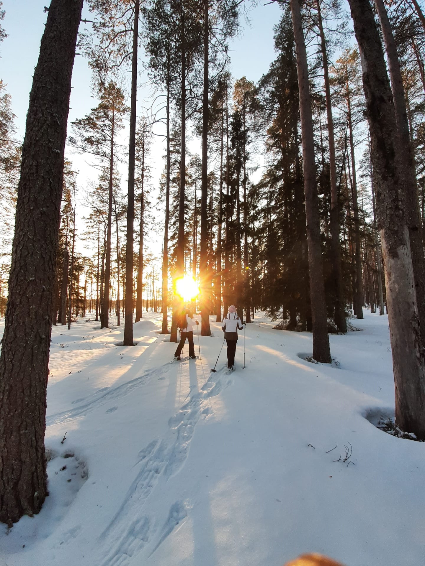 snowshoeing