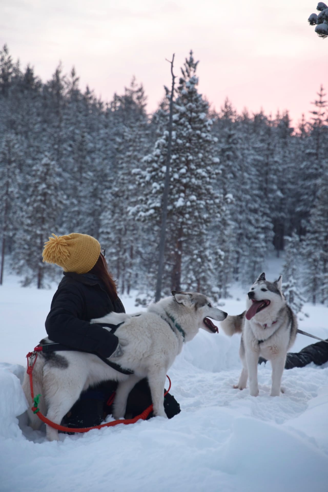Cuddling with the huskies during our walk in the forest