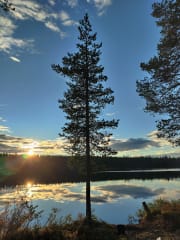 Small lake in Lapland