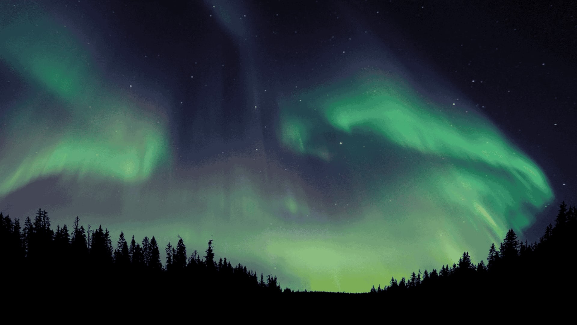 Taiga resort Northern lights