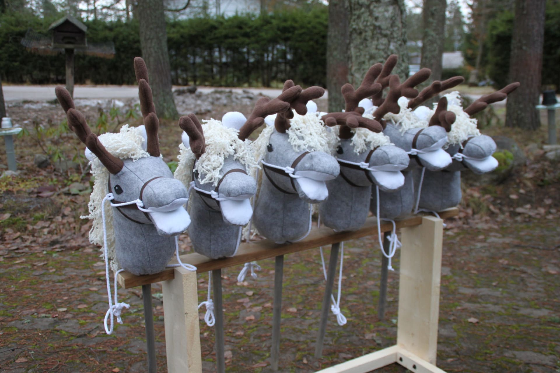 Happiness with a hobby horse tour