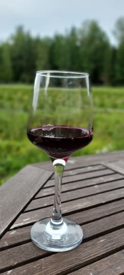 Mustaherukkaviiniä viinilasissa