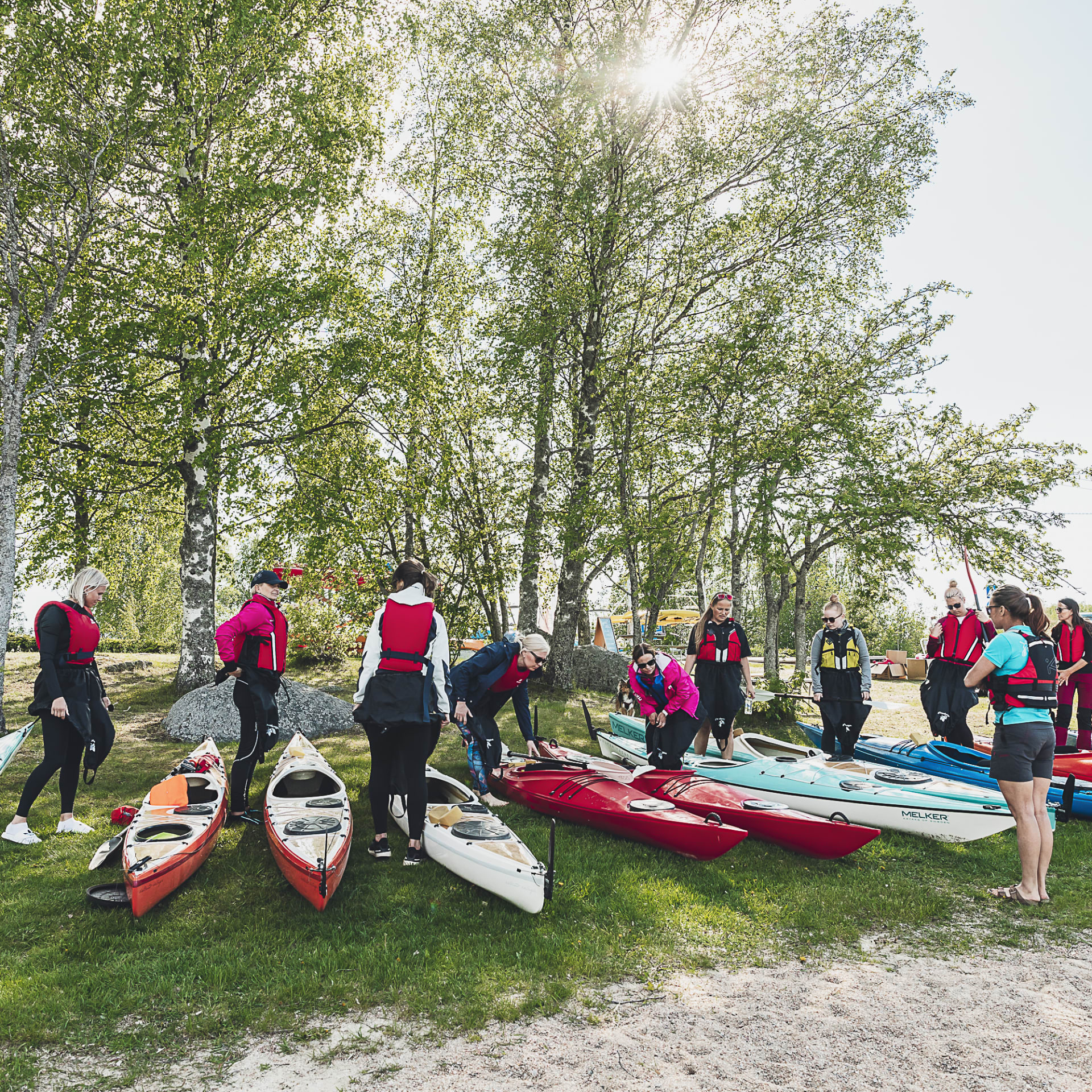 Kayak rental & tours