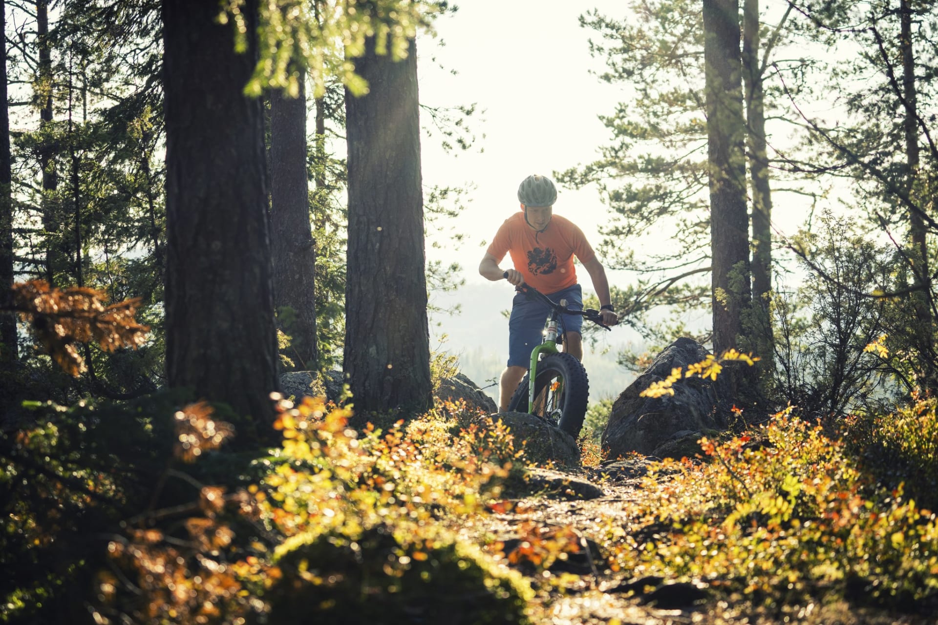 Electric Fatbike Tour at Bomba