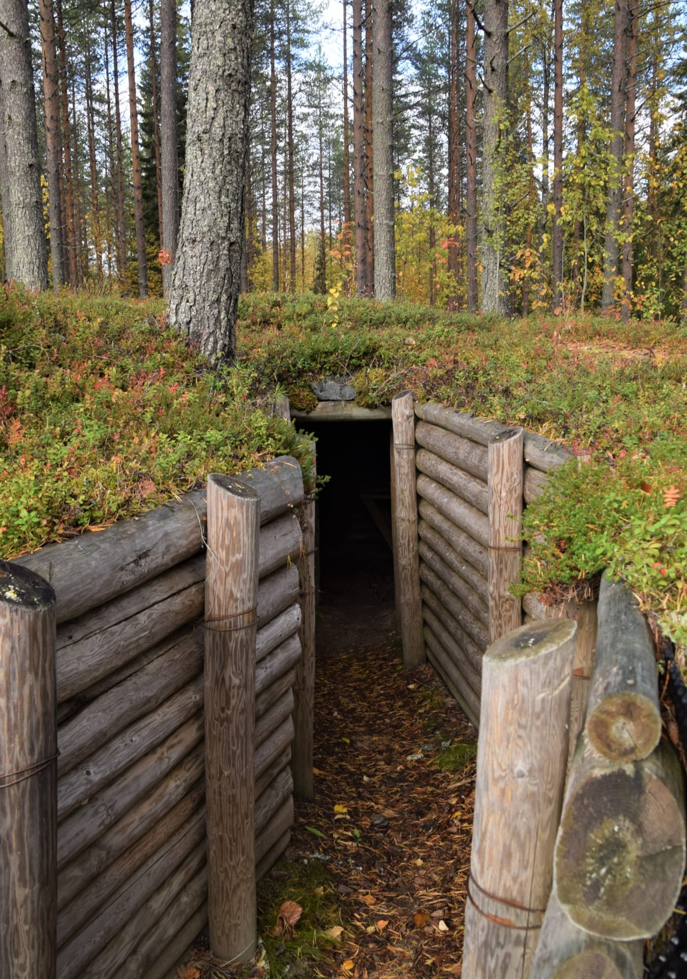 Juoksuhautaa Saunajärvellä