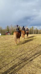 1h rento maastovaellus