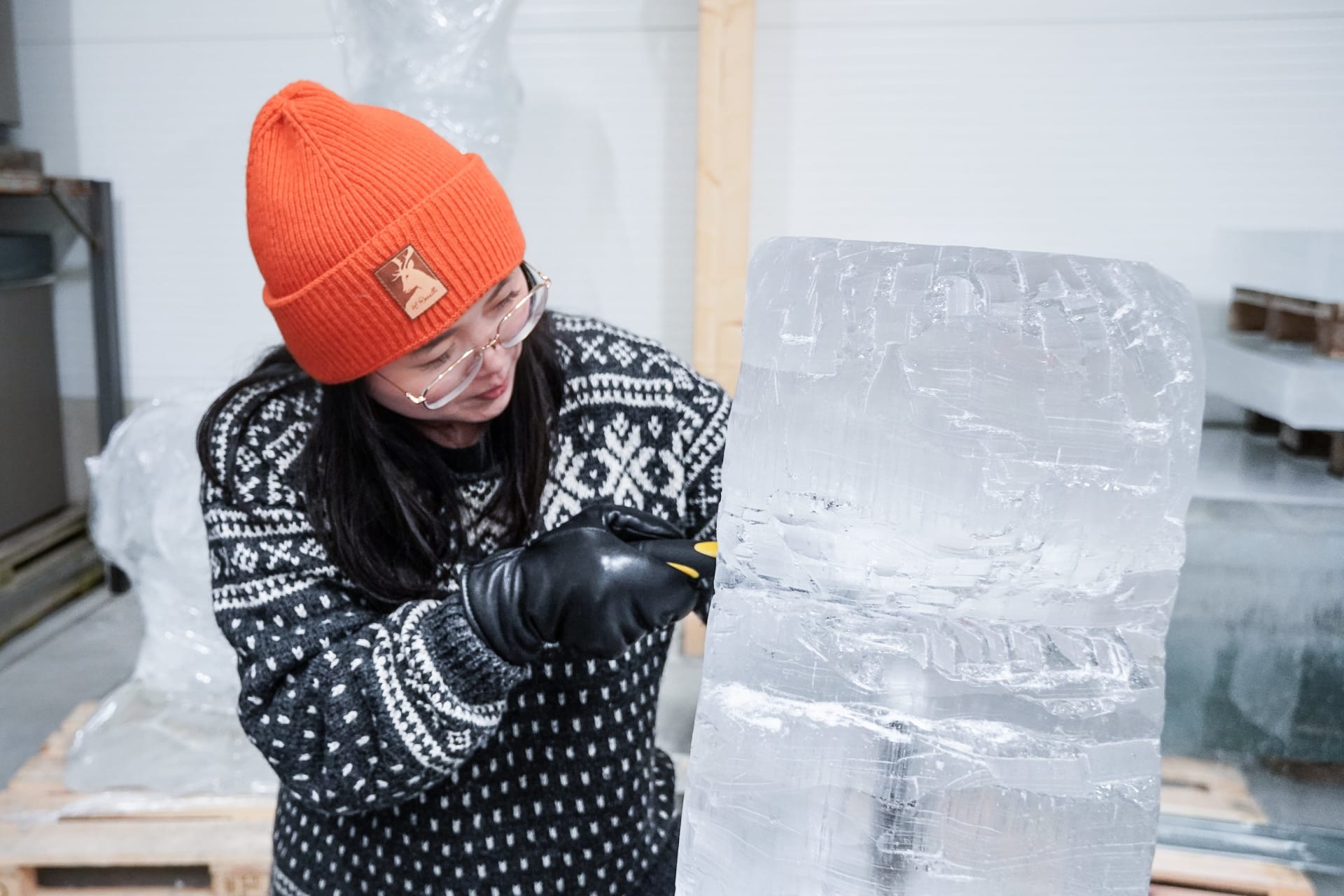 Ice sculpting workshop