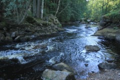 Rävykosken koskikalastusalue