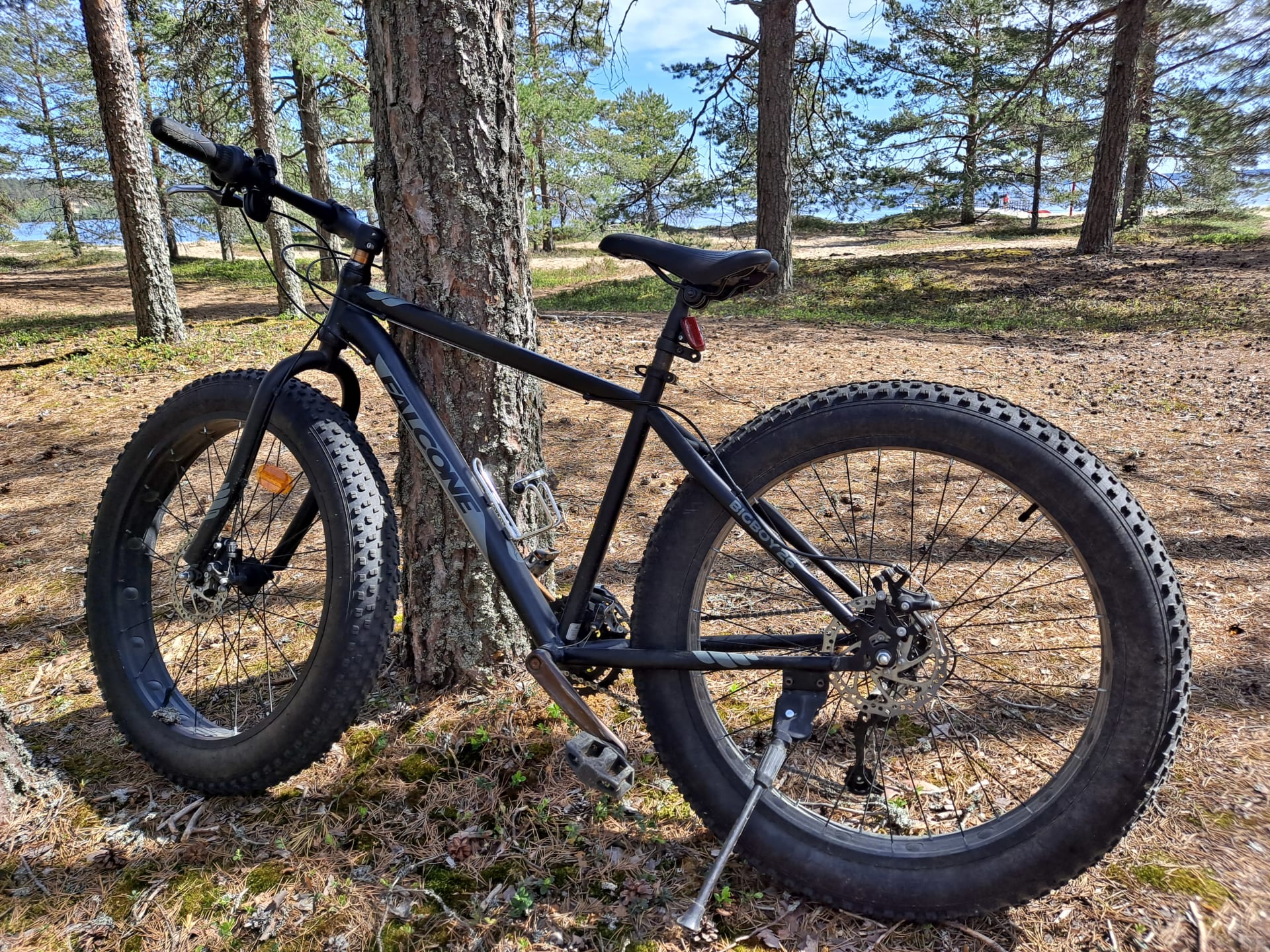 Fat Bike rental