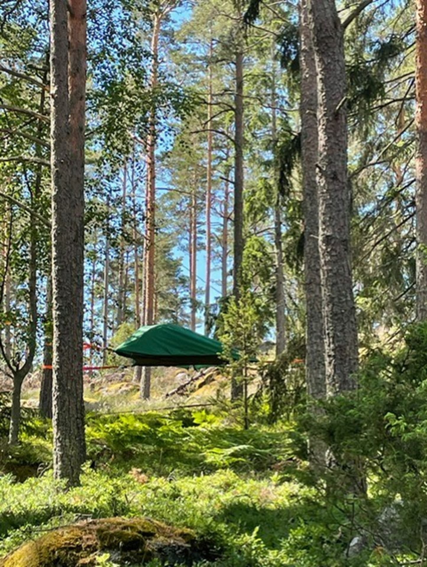 Tentsile teltta