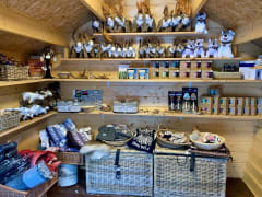 Nuuksion Poropuisto ja ametistikaivos