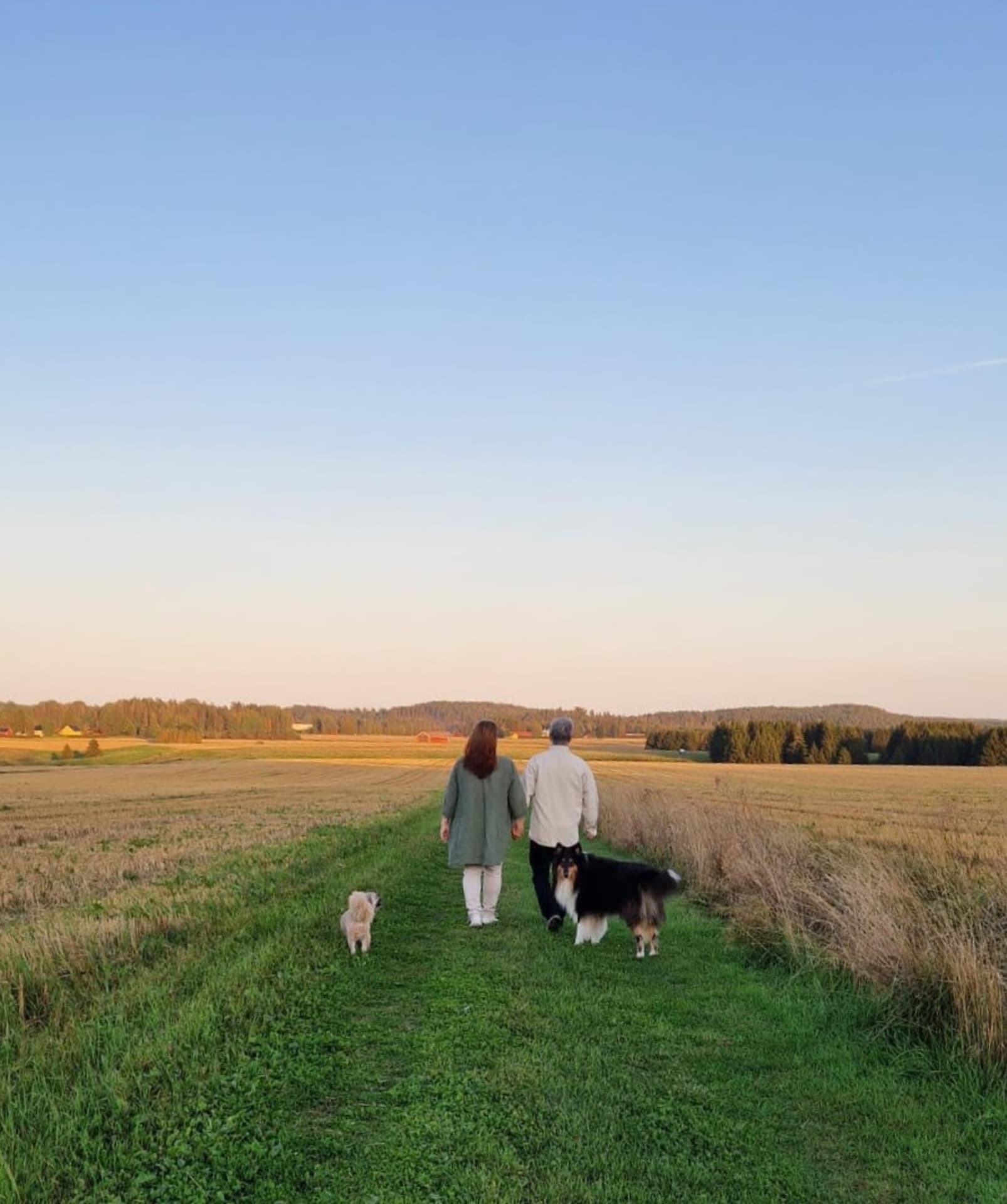 Evening Walk in Peaceful Country-side