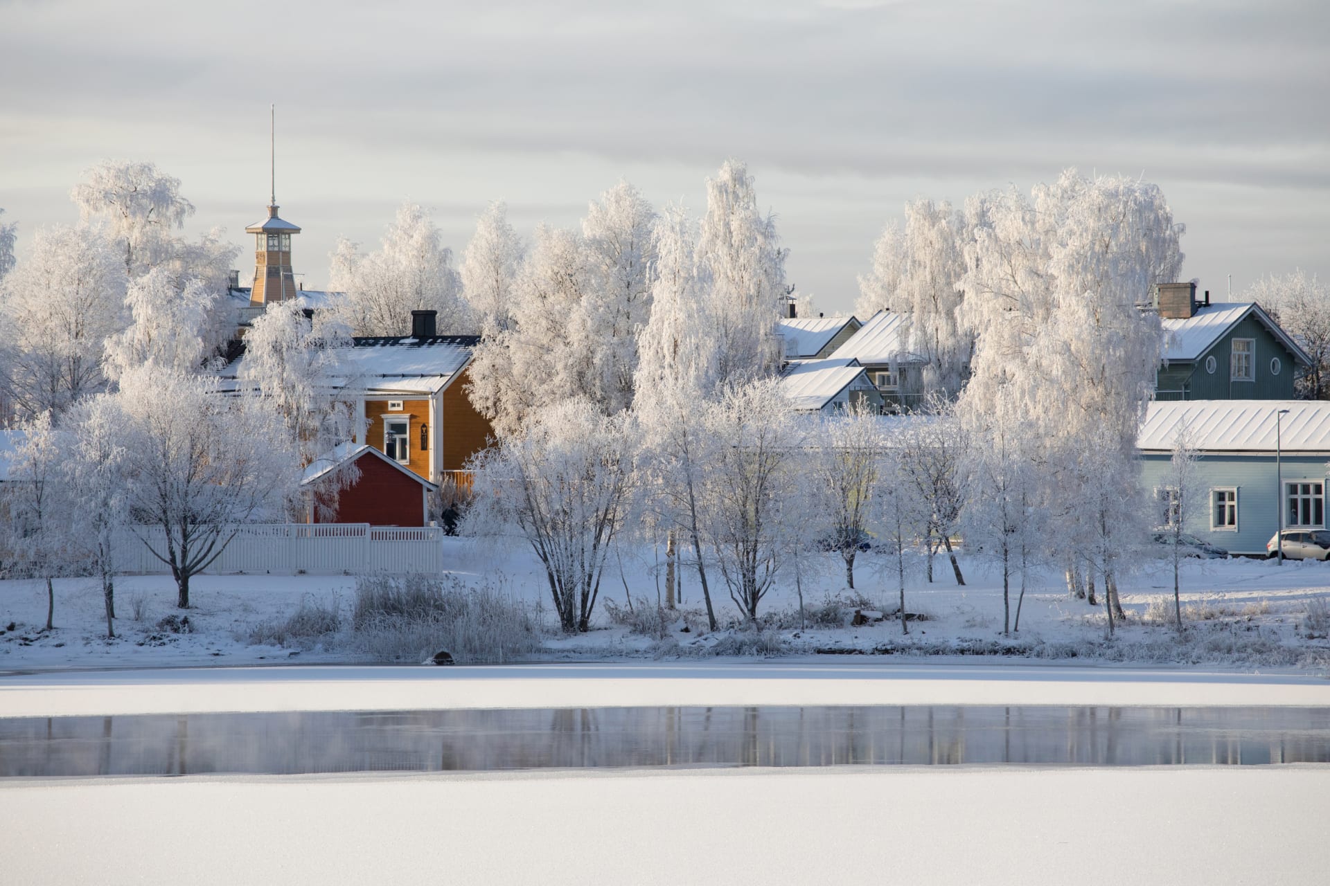 River delta at the winter.