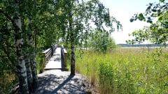 Ruissalo